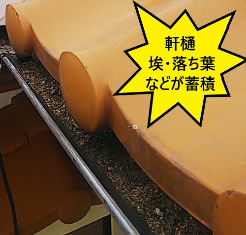 軒樋　ゴミ　詰まり